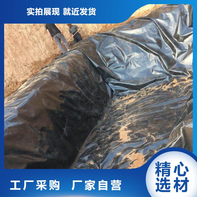 土工膜生产厂家