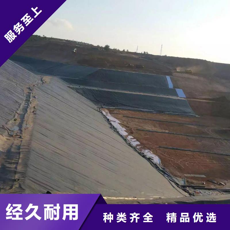 聚乙烯土工膜厂家