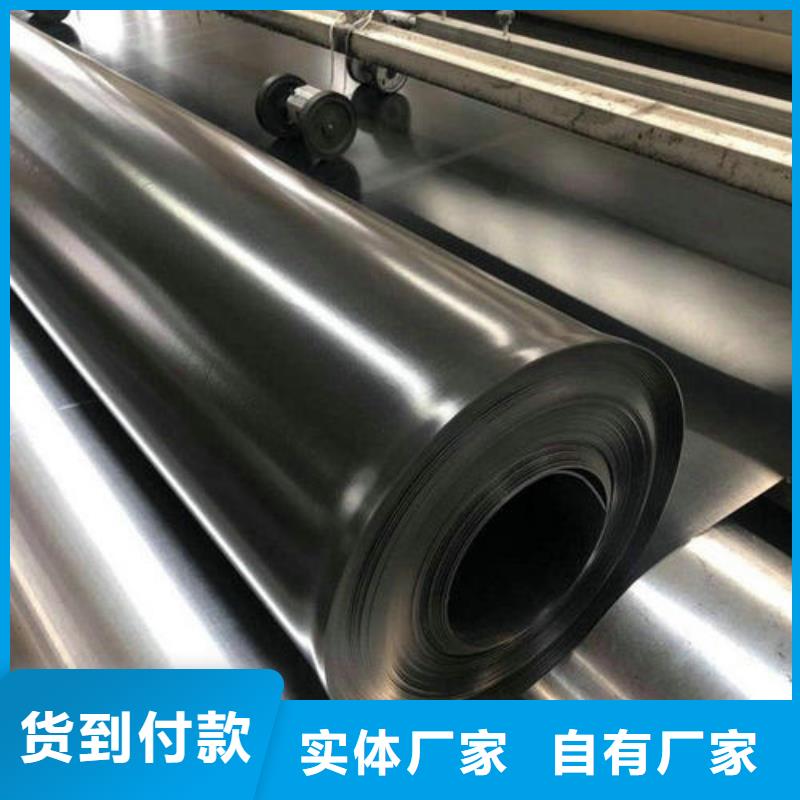 400g土工膜河道防渗土工膜生产厂家