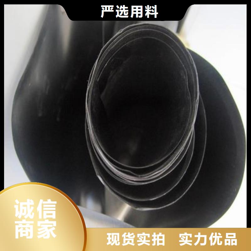 聚乙烯土工膜厂家