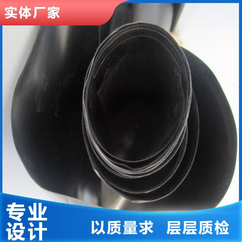 800g土工膜藕池防渗土工膜生产厂家