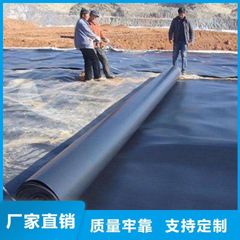 400g土工膜河道防渗土工膜生产厂家