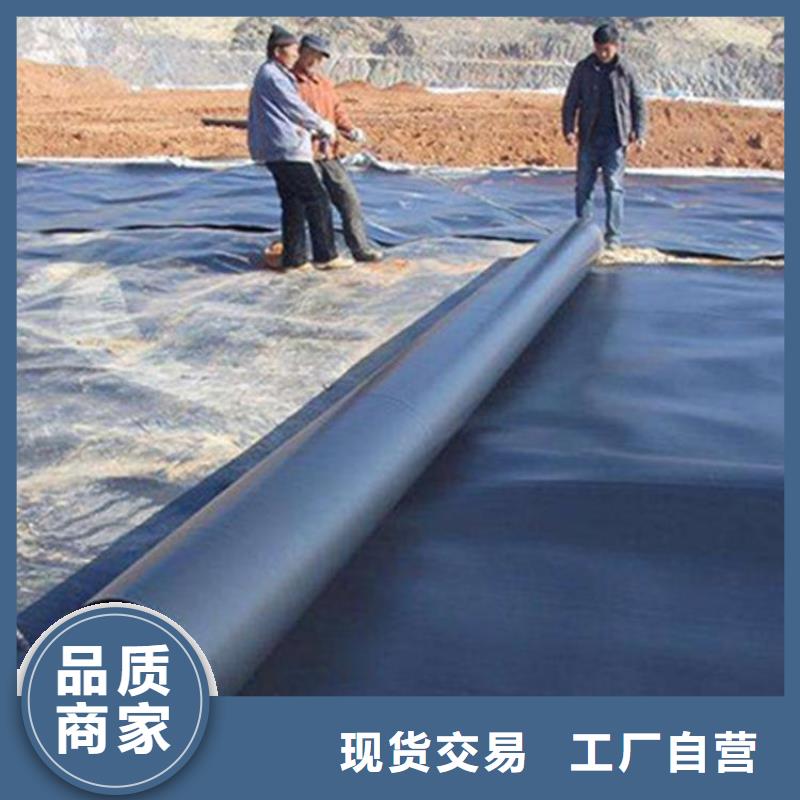 土工膜生产厂家