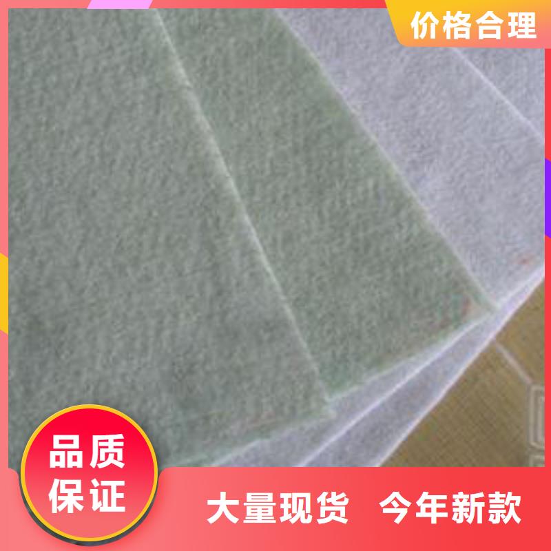 土工布双向塑料土工格栅认准大品牌厂家