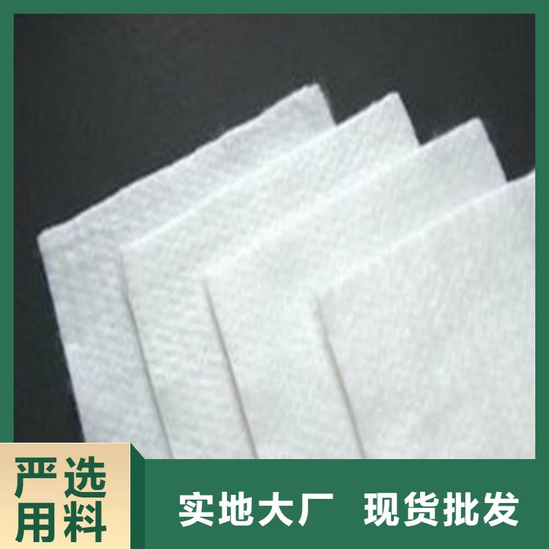 土工布双向塑料土工格栅N年专注