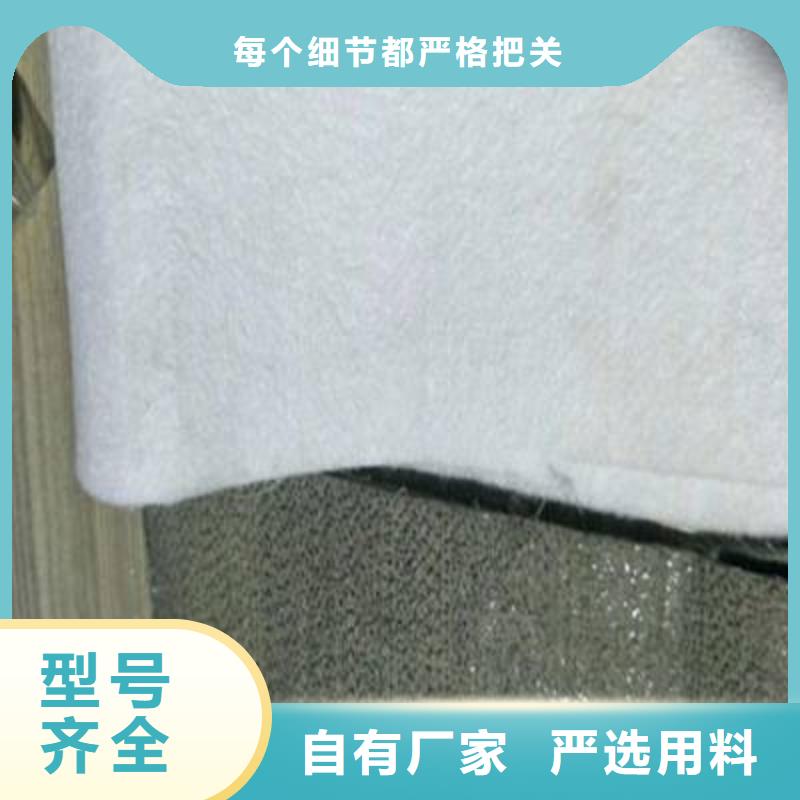 长期供应商聚酯长丝土工布持续供应