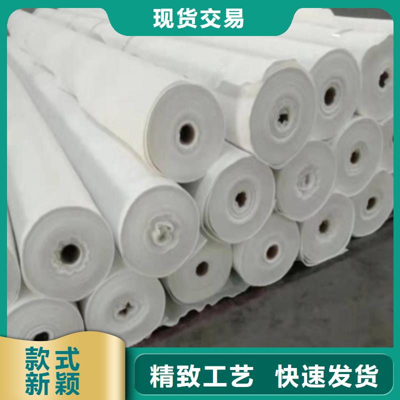 【土工布钢塑土工格栅N年生产经验】