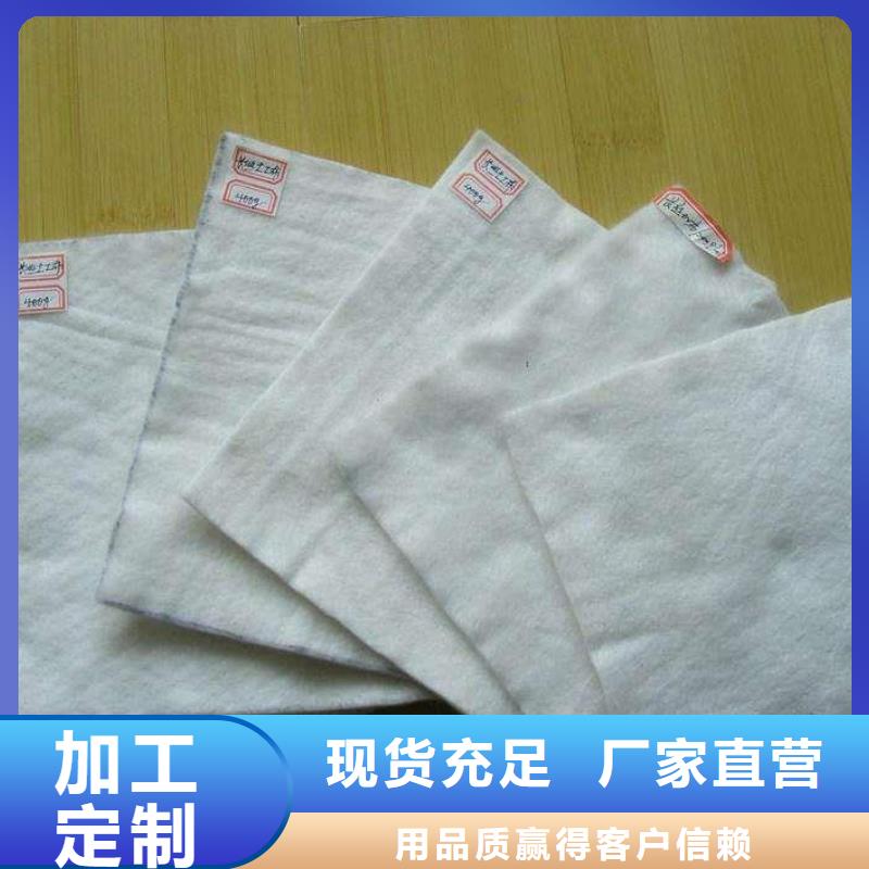 土工布双向塑料土工格栅实力雄厚品质保障