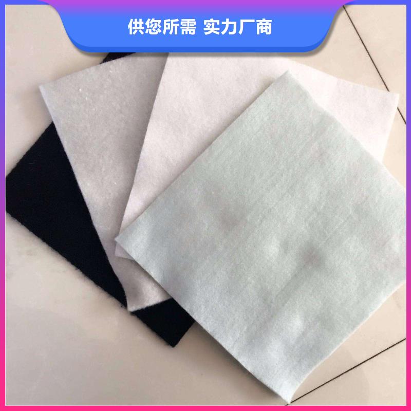 土工布复合土工膜丰富的行业经验
