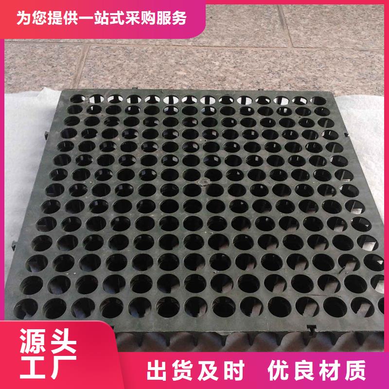 蓄排水板,单向拉伸塑料格栅质优价廉