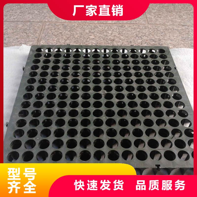 蓄排水板三维植被网好货直供
