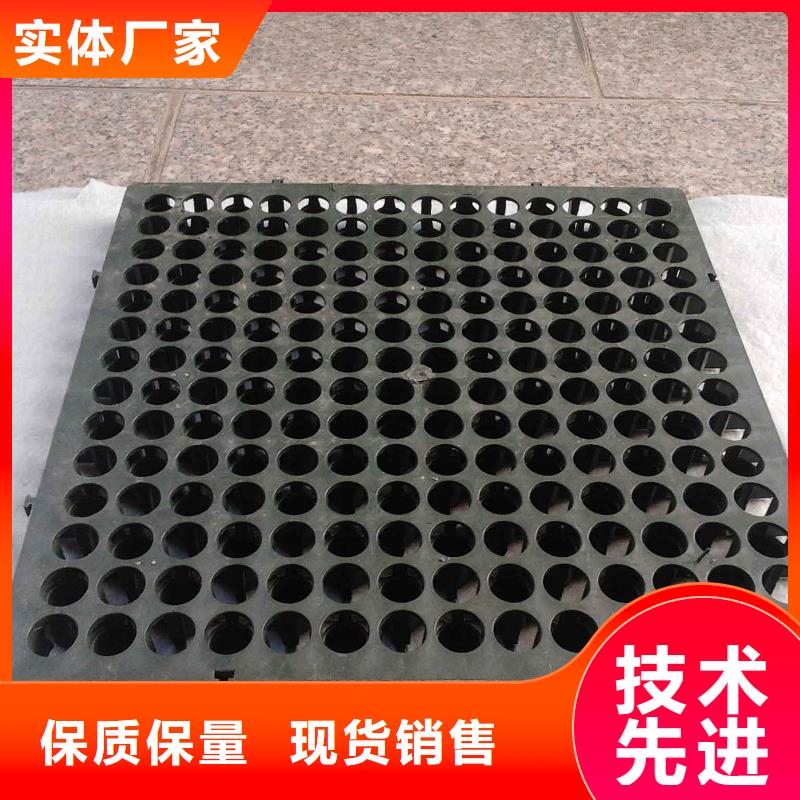 排水排水板_优质雨水收集设备生产厂家.