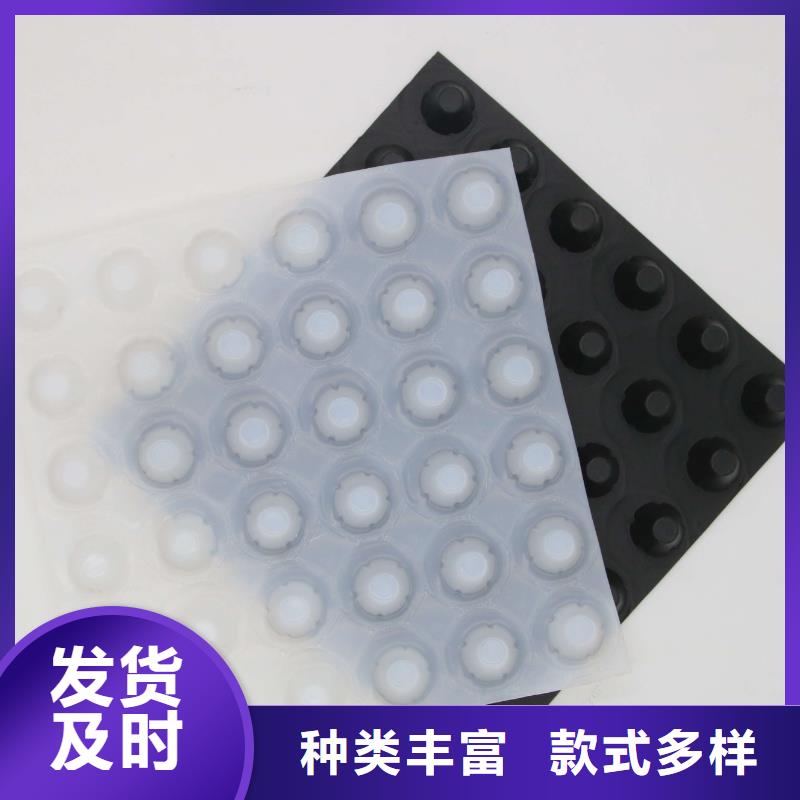 蓄排水板三维土工网垫厂家实力雄厚