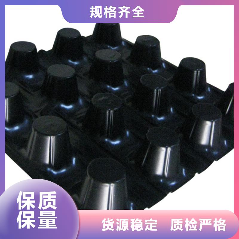 蓄排水板_【土工格室】实力厂家