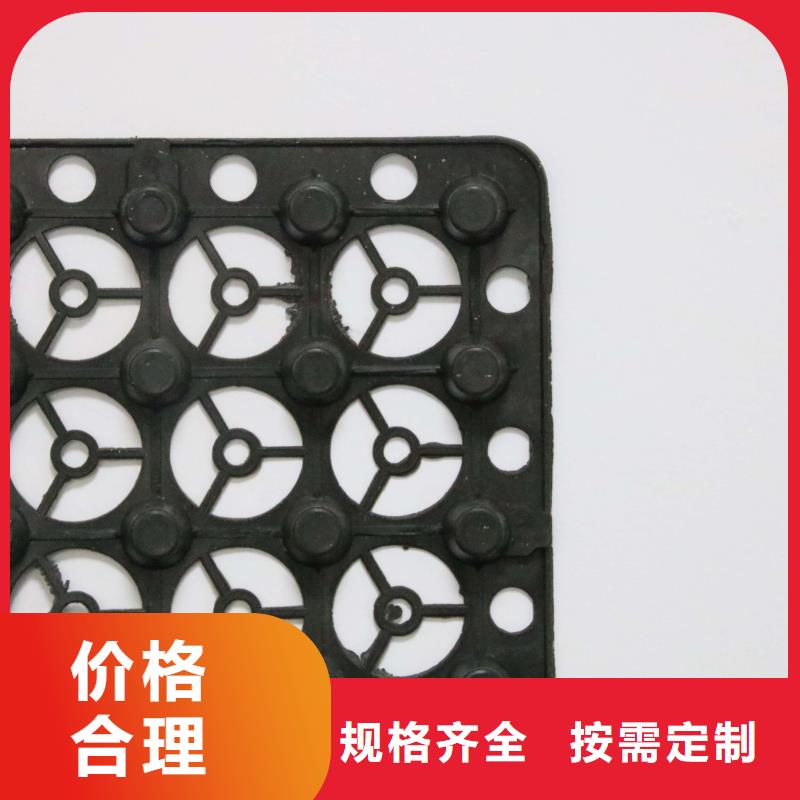 蓄排水板短丝土工布产品实拍