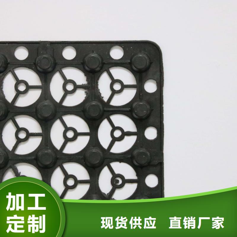 排水板价格厂家