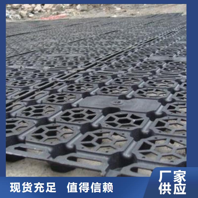 蓄排水板【水土保护毯】一致好评产品