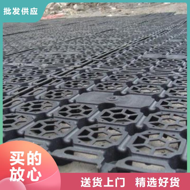 蓄排水板短丝土工布产品实拍