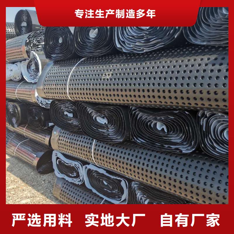 蓄排水板,单向拉伸塑料格栅质优价廉