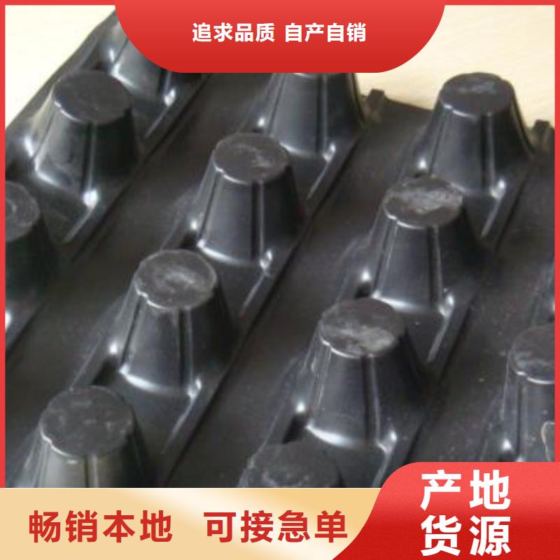 排水板价格厂家
