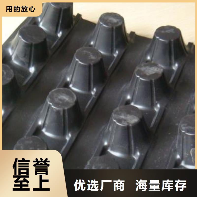 蓄排水板短丝土工布产品实拍