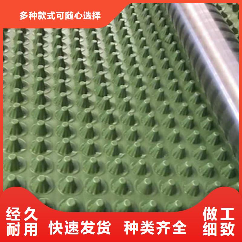 蓄排水板【复合土工膜】厂诚信经营