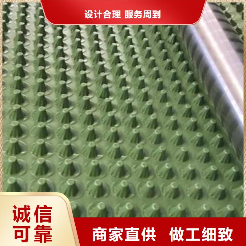 排水板价格厂家