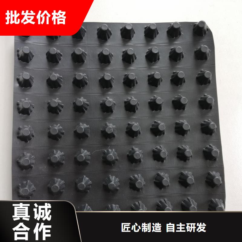 蓄排水板土工布支持批发零售
