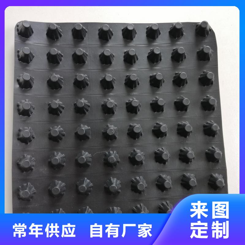 【蓄排水板-三维复合排水网产地直销】