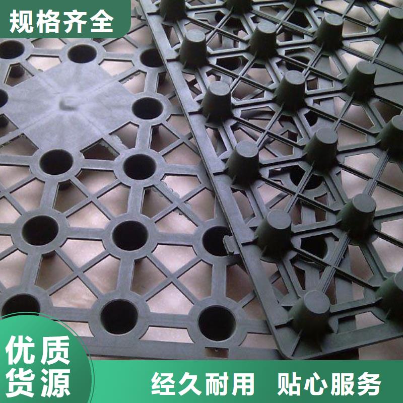 蓄排水板复合土工膜厂家自营