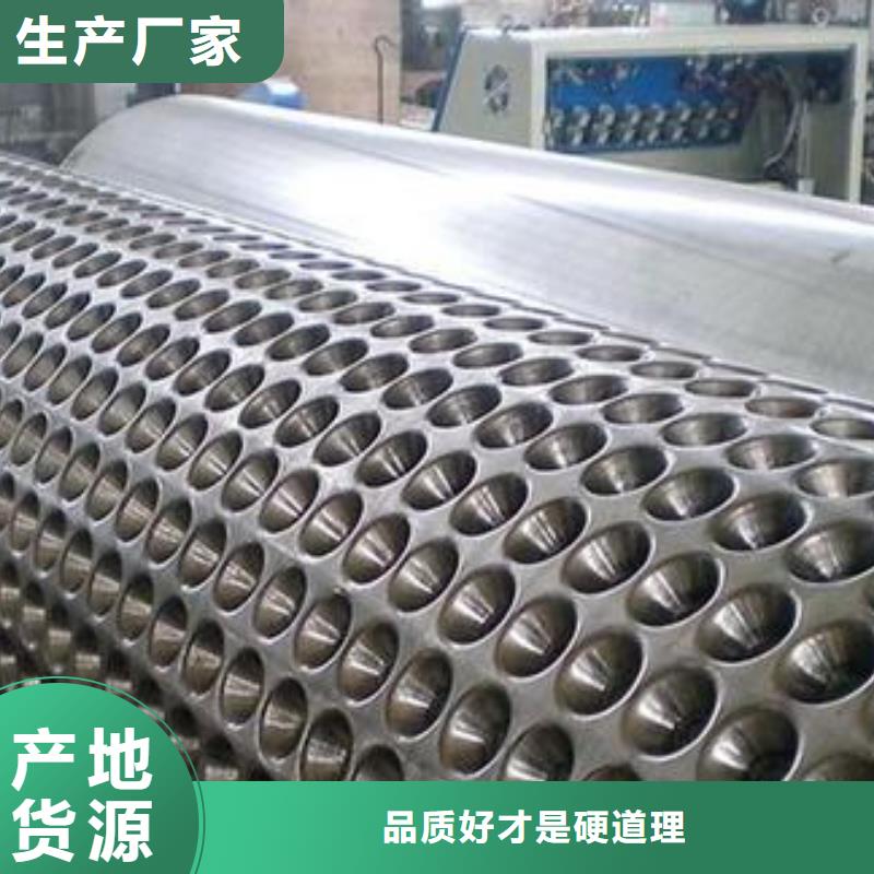 蓄排水板,单向拉伸塑料格栅质优价廉
