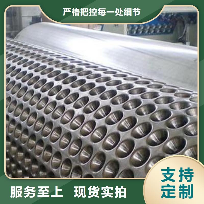 【蓄排水板钢塑土工格栅精工打造】