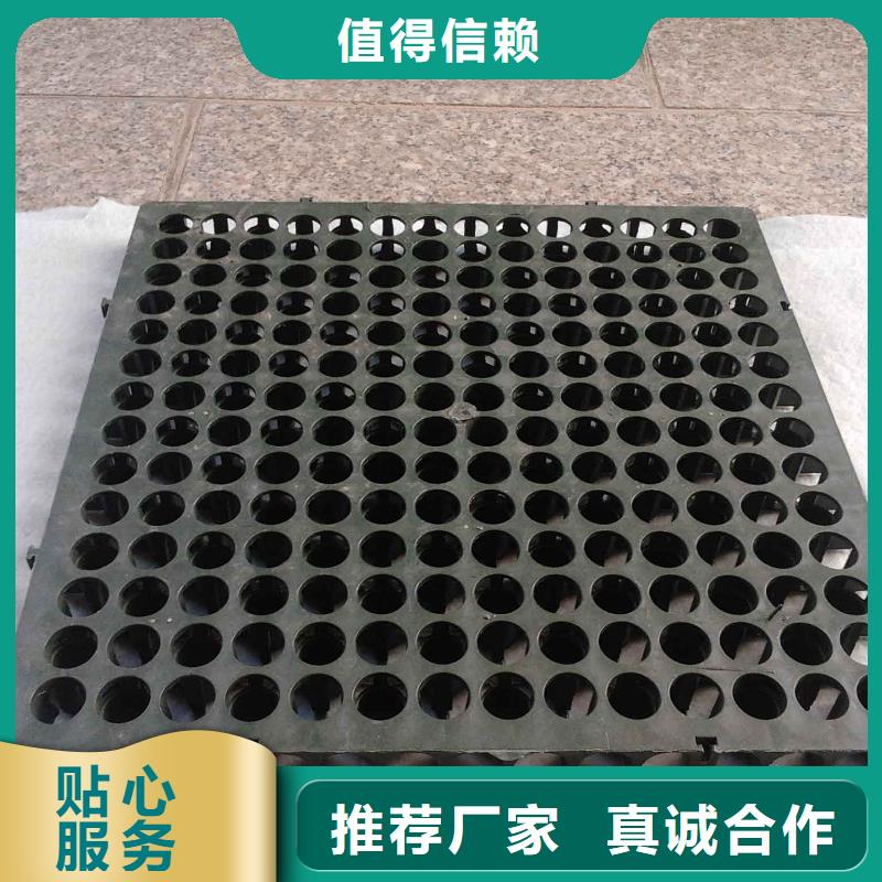 蓄排水板【毛细排水板】好品质售后无忧