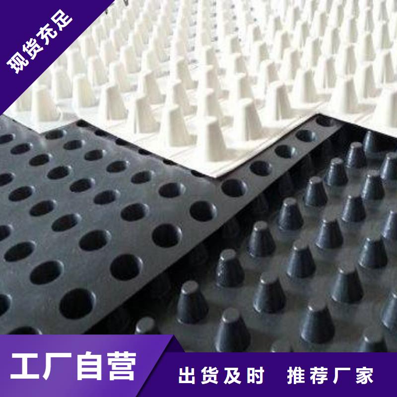 排水板-厂家直销,专业供应成卷蓄排水板-地下室防排水板价格-塑料排水板厂家