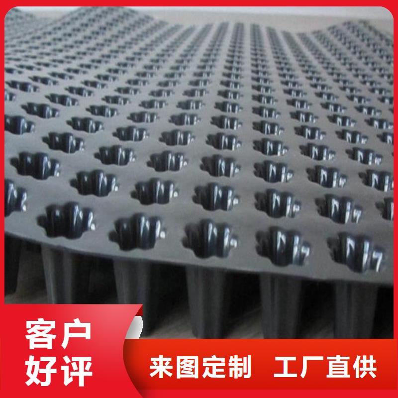 【蓄排水板】_双向塑料土工格栅专注细节使用放心