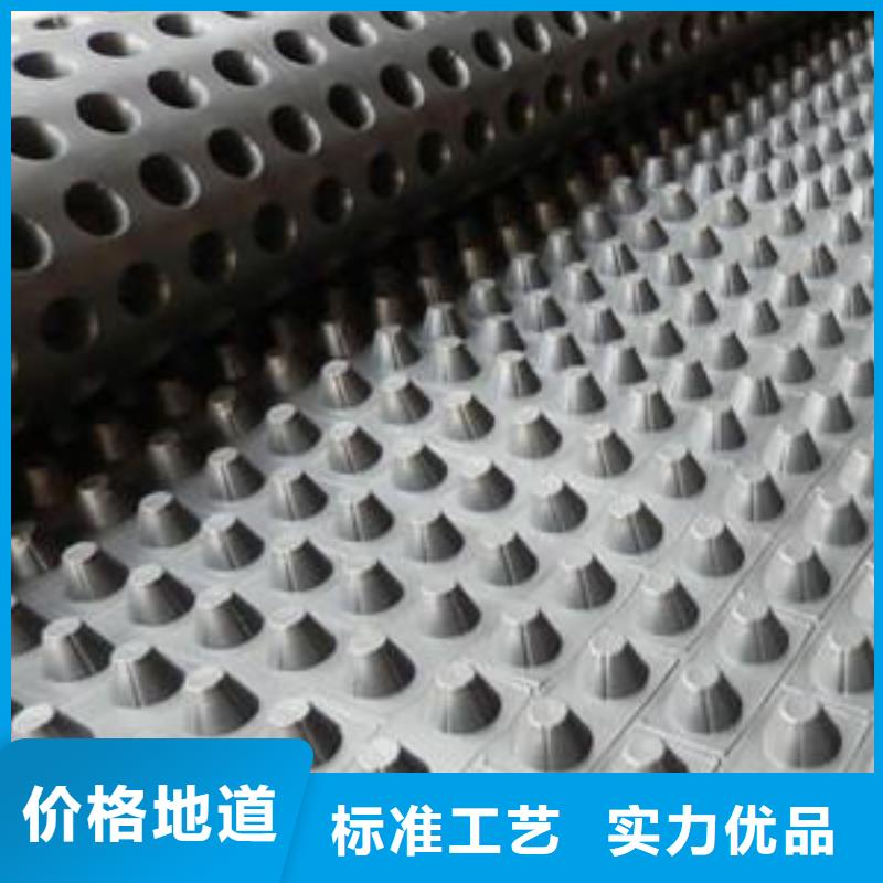 蓄排水板,单向拉伸塑料格栅质优价廉
