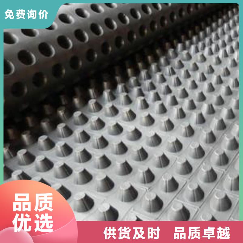 蓄排水板,单向拉伸塑料格栅质优价廉