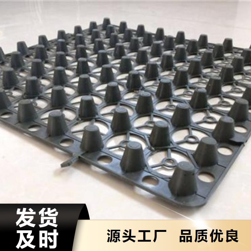 蓄排水板,单向拉伸塑料格栅质优价廉