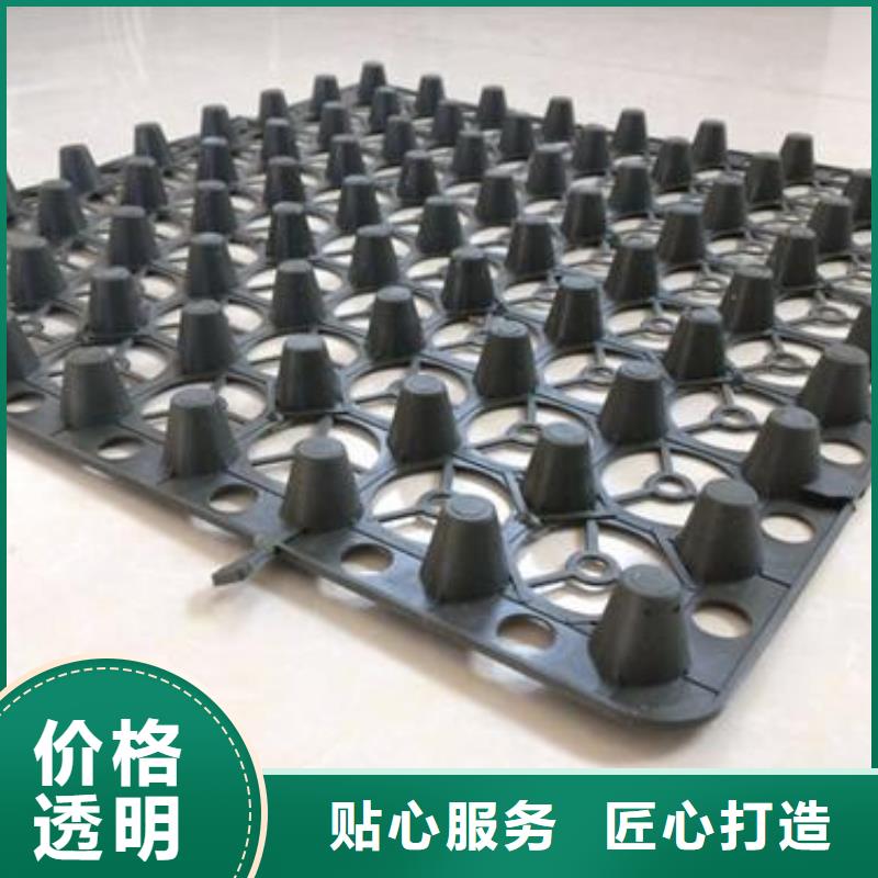 蓄排水板长丝土工布闪电发货