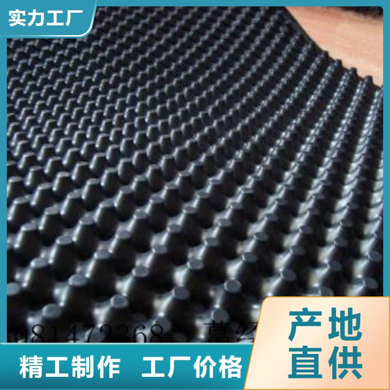 蓄排水板,单向拉伸塑料格栅质优价廉