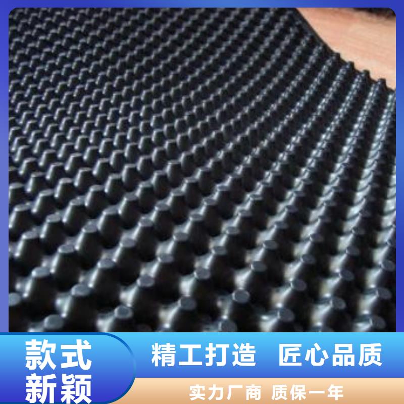 蓄排水板长丝土工布闪电发货