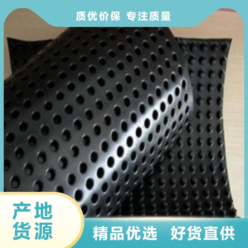 蓄排水板三维土工网垫厂家实力雄厚