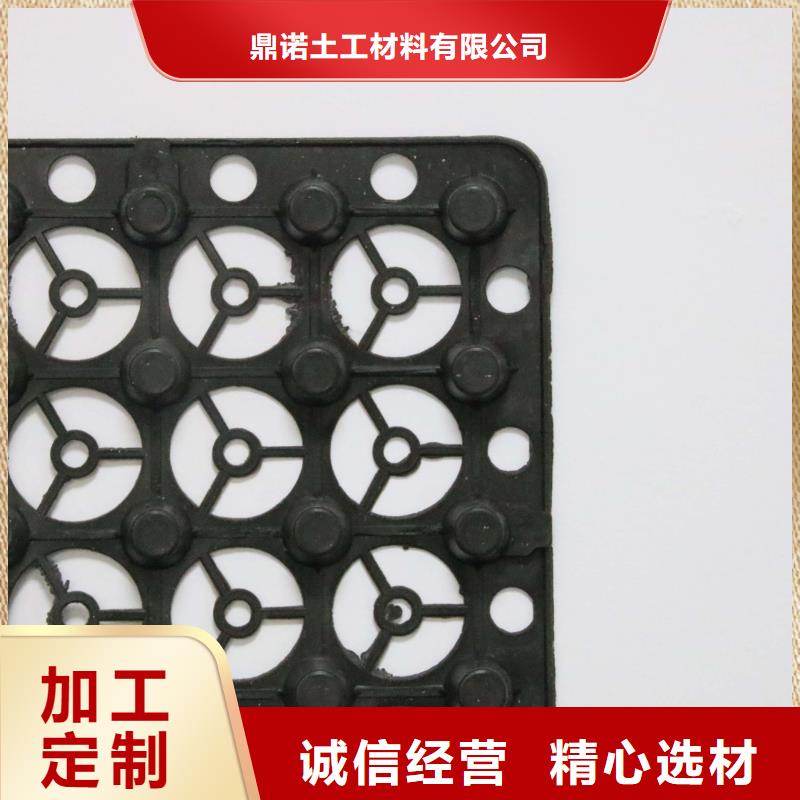 蓄排水板三维土工网垫厂家实力雄厚