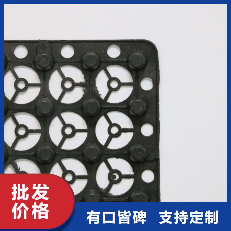 蓄排水板,单向拉伸塑料格栅质优价廉