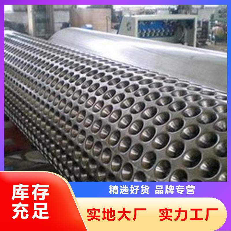 蓄排水板,单向拉伸塑料格栅质优价廉
