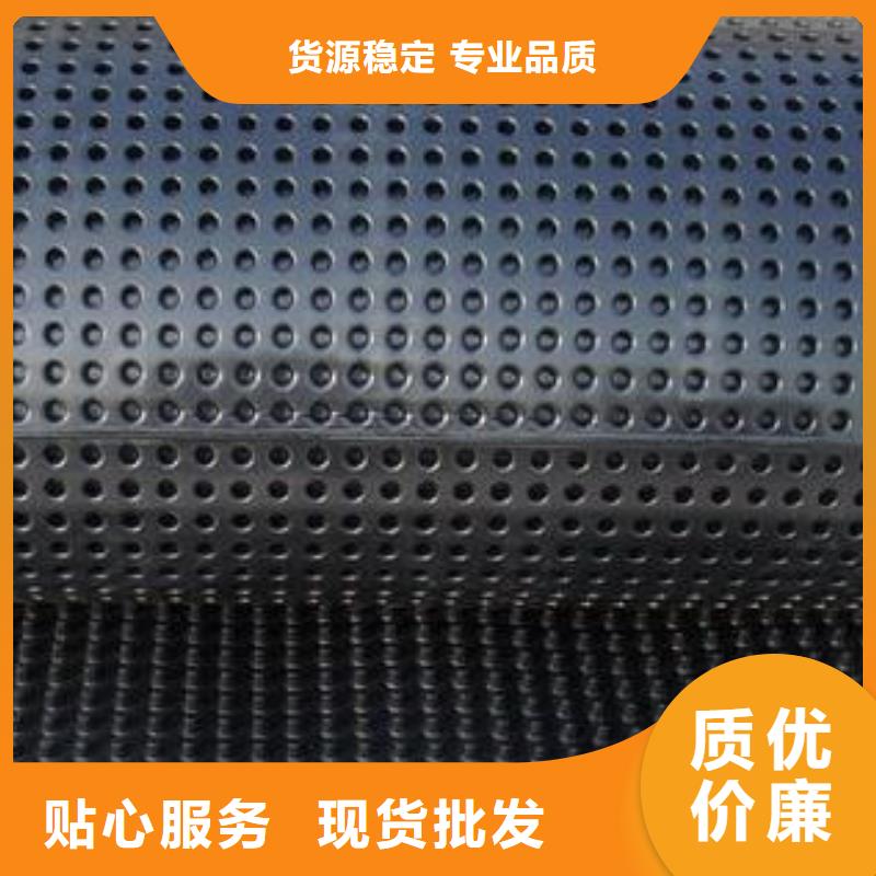 蓄排水板,单向拉伸塑料格栅质优价廉