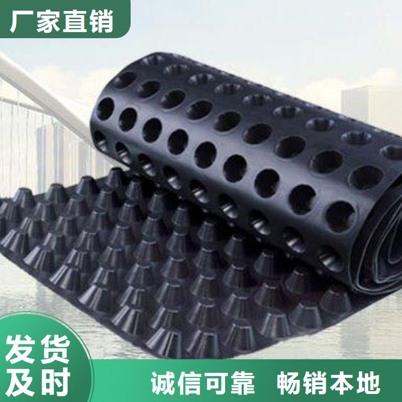 蓄排水板三维土工网垫厂家实力雄厚