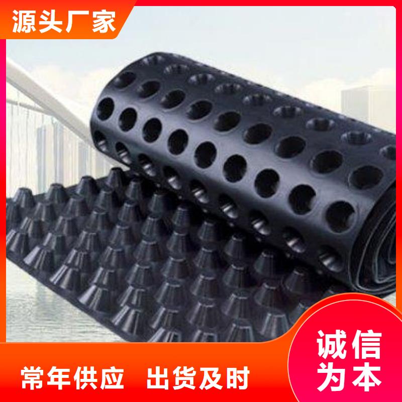蓄排水板,单向拉伸塑料格栅质优价廉