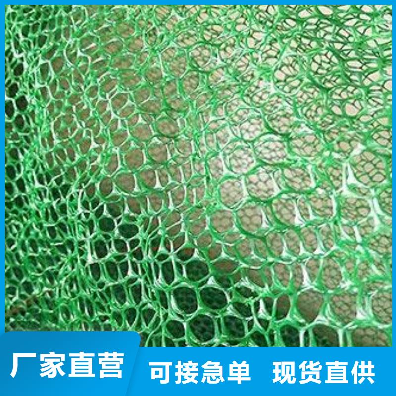 三维植被网-土工格室品牌大厂家