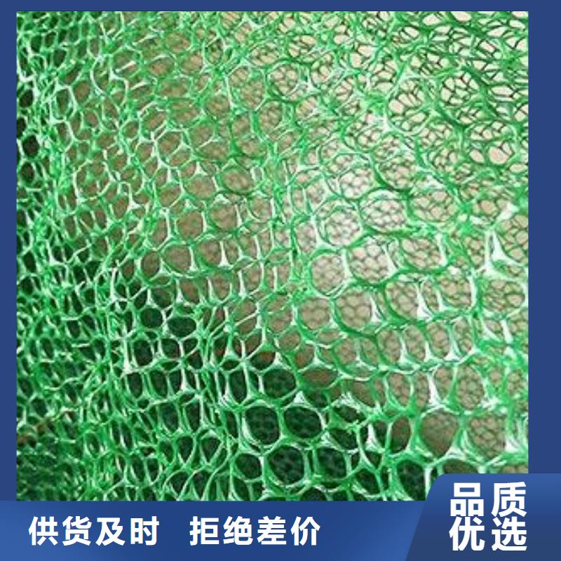 EM3三维植被网厂家